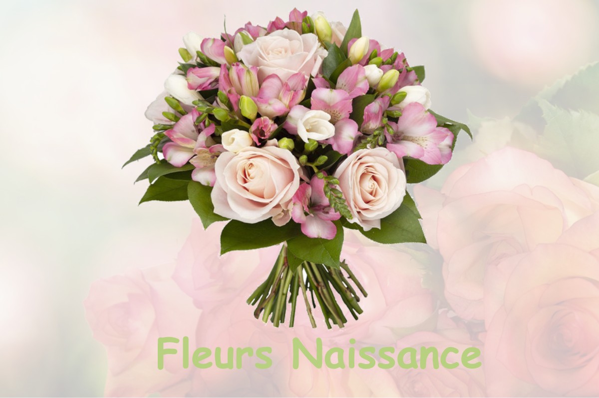 fleurs naissance SAINTE-MARIE-DE-CHIGNAC